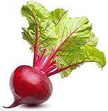 Ruby Queen Beet Seeds | Beet Seeds for Planting Outdoor Gardens | Heirloom & Non-GMO | Planting Instructions Included photo / $6.95 ($32.94 / Ounce)
