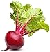photo Ruby Queen Beet Seeds | Beet Seeds for Planting Outdoor Gardens | Heirloom & Non-GMO | Planting Instructions Included