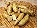 photo MITRAEE 100 Banana Fingerling Potato Vegetable Seeds