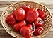 foto Hot Chili Pfeffer Rocoto Rot - Manzano - Pepper - 10 Samen