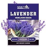 1400 English Lavender Seeds for Planting Indoors or Outdoors, 90% Germination, to Give You The Lavender Plant You Need, Non-GMO, Heirloom Herb Seeds photo / $5.99 ($0.01 / Count)