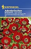 Sperli Blumensamen Adonisröschen Blutströpfchen, grün foto / 1,90 €