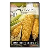 Sow Right Seeds - Bantam Sweet Corn Seed for Planting - Non-GMO Heirloom Packet with Instructions to Plant a Home Vegetable Garden photo / $5.49
