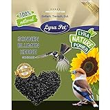 Lyra Pet® 25 kg Sonnenblumenkerne schwarz HK Österreich Vogelfutter Vögel Wildvögel Wildvogelfutter Winterfutter Körner foto / 35,99 € (1,44 € / kg)