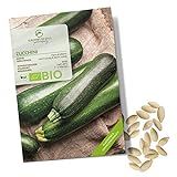 BIO Zucchini Samen (Nero di Milano) - Zucchini Saatgut aus biologischem Anbau ideal für die Anzucht im Garten, Balkon oder Terrasse foto / 4,90 €