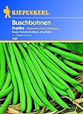 Kiepenkerl Buschbohnen 'Duplika',1 Portion foto / 3,21 €