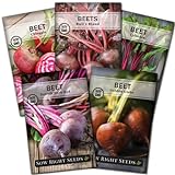 Sow Right Seeds - Beet Seeds for Planting - Detroit Dark Red, Golden Globe, Chioggia, Bull’s Blood and Cylindra Varieties - Non-GMO Heirloom Seeds to Plant a Home Vegetable Garden - Great Gift photo / $10.99