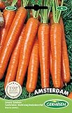Germisem Amsterdam Semillas de Zanahoria 6 g foto / 2,21 €