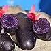 foto 100 schwarz gehäutete lila Fleisch kartoffel samen hohe Keimrate leicht zu wachsen einfach zu handhaben Garten leckere Gemüse pflanzen für den Garten Hausbau Kartoffelsamen Einheitsgröße
