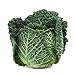 photo Savoy Perfection Cabbage Seeds - 50 Count Seed Pack - Non-GMO - A Unique Hardy Crop with a Sweet and Delicate Flavor That Makes an Excellent Addition to Many Dishes. - Country Creek LLC