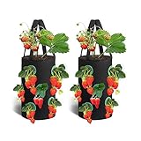 Erdbeere Pflanzsack, 2 Pack Pflanzen Tasche Grow Tasche Pflanzbeutel mit Griffe,Hängend Erdbeeren Pflanztaschen für Erdbeeren, Kräuter, Blumen (Schwarz) foto / 12,99 €