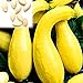 foto Kürbiskerne, 25Pcs / Beutel Kürbis-Samen Essbare fettarme Bananenform Melone Natürliche Seed Cuaurbit Samen für die Landwirtschaft