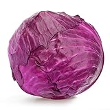 Red Acre Cabbage Seeds, 250 Heirloom Seeds Per Packet, Non GMO Seeds, Botanical Name: Brassica oleracea VAR. capitata f. rubra, Isla's Garden Seeds photo / $5.25 ($0.02 / Count)
