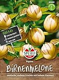 80680 Sperli Premium Birnenmelone Samen | Melonenbirne Samen | Pepino Samen | Pepino Melonenbirne Samen | Birnenmelone Pflanze | Melonenbirne Pflanze foto / 6,77 €