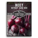 Survival Garden Seeds - Detroit Dark Red Beet Seed for Planting - Packet with Instructions to Plant and Grow Delicious Root Vegetables in Your Home Vegetable Garden - Non-GMO Heirloom Variety photo / $4.99