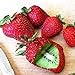 foto Samen für Pflanzen, 20 Stück gepfropfte Kiwi-Erdbeer-Samen, Bonsai, köstliche Obst-Gartenpflanzen-Dekoration – Kiwi-Erdbeer-Samen