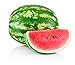 photo Crimson Sweet Watermelon Seeds for Planting - Large 200 Count Premium Heirloom Seeds Packet!