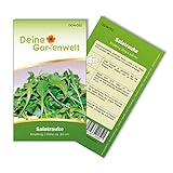 Salatrauke Einjährig Samen - Eruca sativa - Salatraukesamen - Gemüsesamen - Saatgut für 200 Pflanzen foto / 1,99 € (0,01 € / stück)