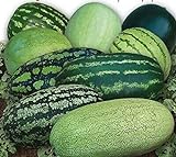 CEMEHA SEEDS - Watermelon Alibaba Giant Mix Non GMO Fruits for Planting photo / $6.95 ($0.23 / Count)