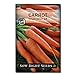 photo Sow Right Seeds - Imperator 58 Carrot Seed for Planting - Non-GMO Heirloom Packet with Instructions to Plant a Home Vegetable Garden, Great Gardening Gift (1)