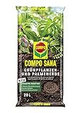 COMPO SANA Grünpflanzen- und Palmenerde mit 12 Wochen Dünger für alle Zimmer- und Balkonpflanzen sowie Palmen und Farne, Kultursubstrat, 20 Liter foto / 14,46 € (0,72 € / l)