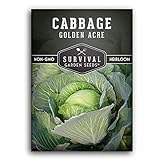 Survival Garden Seeds - Golden Acres Green Cabbage Seed for Planting - Packet with Instructions to Plant and Grow Yellow-White Cabbages in Your Home Vegetable Garden - Non-GMO Heirloom Variety photo / $4.99