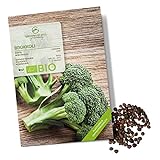 BIO Brokkoli Samen (Calabrese) - Brokkoli Saatgut aus biologischem Anbau ideal für die Anzucht im Garten, Balkon oder Terrasse foto / 4,90 €