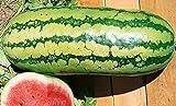 25 Garrisonian Watermelon Seeds | Non-GMO | Heirloom | Instant Latch Fresh Garden Seeds photo / $5.95