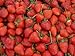 foto Erdbeeren 1500+ Samen *Großfruchtig/Süß/Wohlschmeckend* -Super Ertrag und Winterhart-