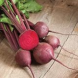 David's Garden Seeds Beet Red Ace 1239 (Red) 200 Non-GMO, Hybrid Seeds photo / $3.95