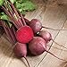 photo David's Garden Seeds Beet Red Ace 1239 (Red) 200 Non-GMO, Hybrid Seeds