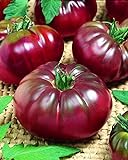 CEMEHA SEEDS - Black Prince Tomato Determinate Non GMO Vegetable for Planting photo / $6.95 ($0.14 / Count)