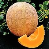 Park Seed Hale's Best Organic Melon Seeds Delicious Cantaloupe Certified Organic Thick Flesh, Sweet Juicy Flavor, Pack of 20 Seeds photo / $7.95 ($0.40 / Count)
