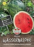 81555 Sperli Premium Wassermelone Samen Mini Love | Schnellwachsend | Melonen Samen | Wassermelonen Samen | Samen Wassermelone | Mini Melonen Pflanze | Mini Wassermelone | Melonen Samen Freiland foto / 6,34 €