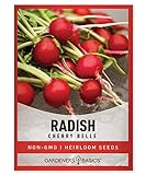 Radish Seeds for Planting - Cherry Belle Variety Heirloom, Non-GMO Vegetable Seed - 2 Grams of Seeds Great for Outdoor Spring, Winter and Fall Gardening by Gardeners Basics photo / $4.95