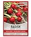 photo Radish Seeds for Planting - Cherry Belle Variety Heirloom, Non-GMO Vegetable Seed - 2 Grams of Seeds Great for Outdoor Spring, Winter and Fall Gardening by Gardeners Basics