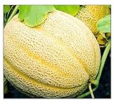 50 Hales Best Jumbo Cantaloupe | Non-GMO | Fresh Garden Seeds photo / $6.95
