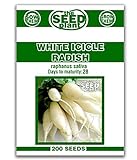 White Icicle Radish Seeds - 200 Seed Non-GMO photo / $1.59 ($0.01 / Count)