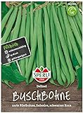 80039 Sperli Premium Buschbohnen Samen Delinel | Ertragreich | Fadenlos | Buschbohnen Samen ohne Fäden | Ackerbohnen Saatgut foto / 4,29 €