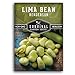 photo Survival Garden Seeds - Henderson Lima Bean Seed for Planting - Packet with Instructions to Plant and Grow Tender White Butter Beans in Your Home Vegetable Garden - Non-GMO Heirloom Variety