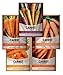 photo Carrot Seeds for Planting Home Garden - 5 Variety Pack Rainbow, Imperator 58, Scarlet Nantes, Bambino and Royal Chantenay Great for Spring, Summer, Fall, Heirloom Carrot Seeds by Gardeners Basics