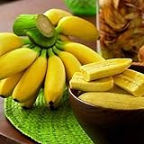Benoon Bananensamen, 1 Beutel Bananensamen Süße Samen Mit Hoher Keimrate Frische Pflanzensamen Für Den Balkon Bananen foto / 3,93 € (0,13 € / stück)