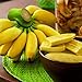 foto Benoon Bananensamen, 1 Beutel Bananensamen Süße Samen Mit Hoher Keimrate Frische Pflanzensamen Für Den Balkon Bananen