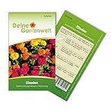Zinnien Dahlienblütige Riesen, Mischung Samen - Zinnia elegans - Zinniensamen - Blumensamen - Saatgut für 70 Pflanzen foto / 1,99 € (0,03 € / stück)