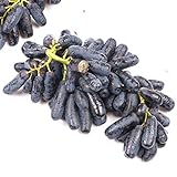 Frische Fruchtsamen mit 30Pcs seltene schwarze Traubenkerne Bonsai Pflanzen Hof Obst Garten Topf Dekor zum Pflanzen Garten Yard Home Landschaftsbau foto / 0,01 €