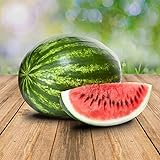 Wassermelon Klondike 25 x Samen - 100% Natursamen, Superfruchtig und Herrlich Erfrischend foto / 2,90 €