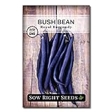 Sow Right Seeds - Royal Burgundy Bean Seed for Planting - Non-GMO Heirloom Packet with Instructions to Plant a Home Vegetable Garden photo / $5.49