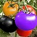 foto Semillas de Tomate Arcoíris Semillas de Tomate Jardín Semillas de Frutas Orgánicas Semillas de Verduras Planta Decoración Del Patio de Casa (100 Piezas)