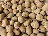 5 Lbs Yukon Gold Seed Potatoes - USA Non-GMO Certified Potato TUBERS SPUDS photo / $9.99