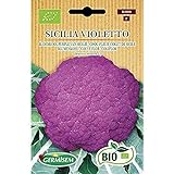 Germisem Orgánica Sicilia Violetto Semillas de Coliflor 1 g (ECBIO3000) foto / 3,99 €